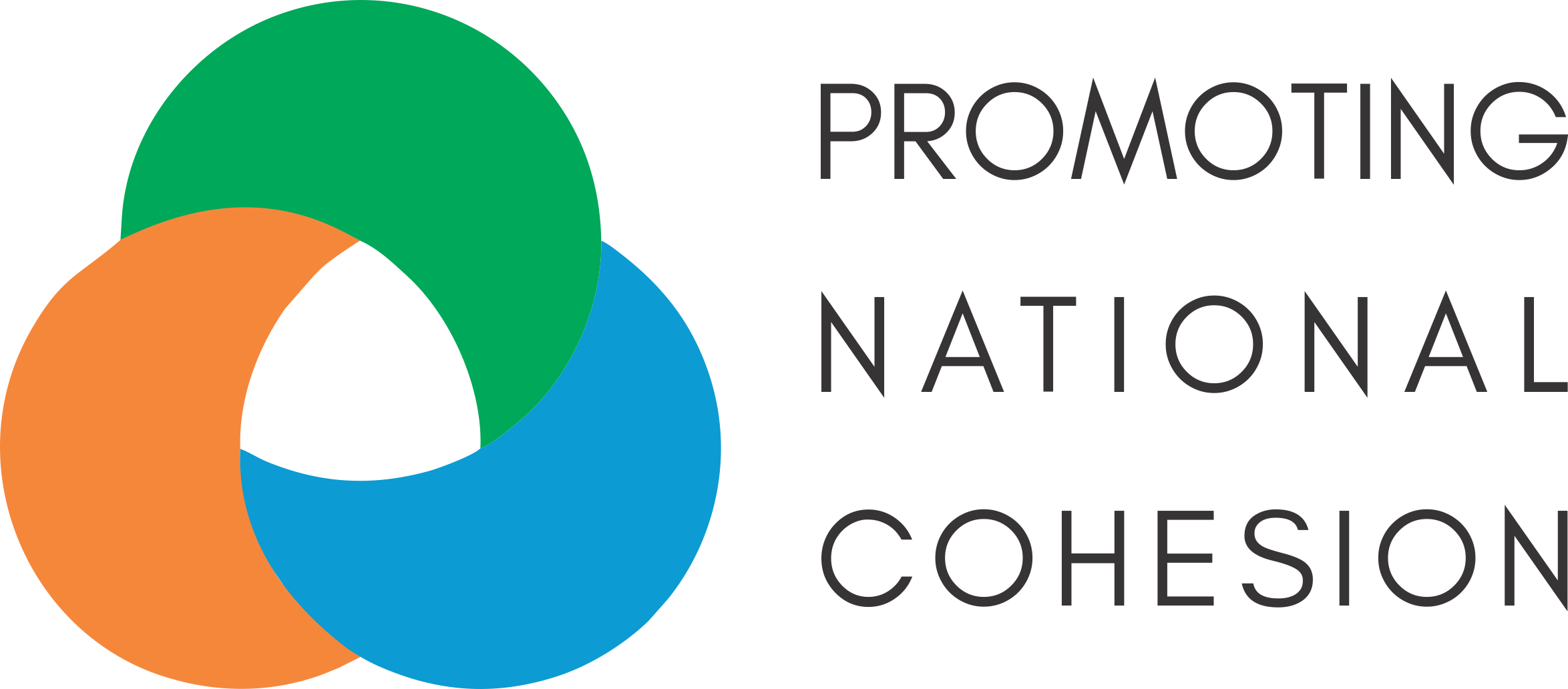 Partner Logo